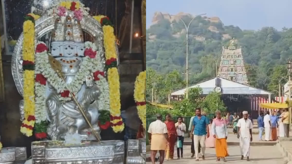 in Vellore District Special Puja at Murugan Temple on Karthigai Deepam Day