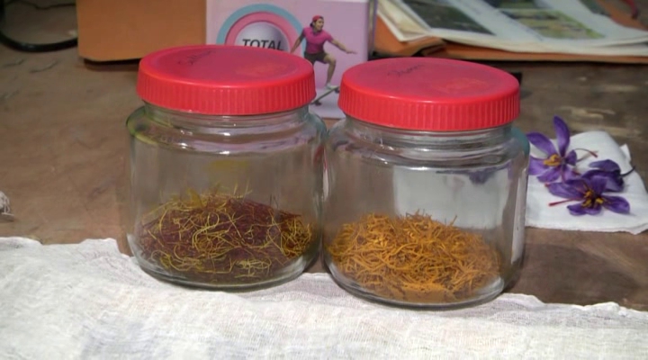 Saffron Cultivation In Karnataka