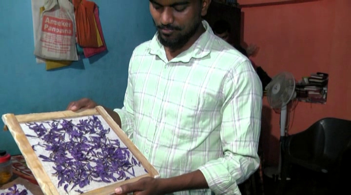 Saffron Cultivation In Karnataka