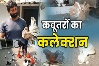 bird lover bablu