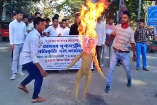 ajycp burnt CMs effigy in protest against the new tax policy in doomdooma
