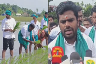 Annamalai accused 3 lakh tonnes of paddy production has been affected this year due to the Cauvery water issue