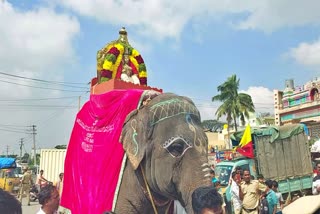 ಕನ್ನಡ ಉತ್ಸವ