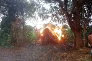 unseasonal-rains-turned-disastrous-in-patan-grass-burnt-due-to-lightning