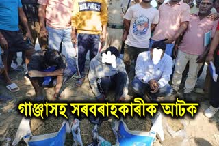 Huge Amount of Ganja Seized at Sonari