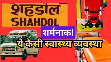 Shahdol News