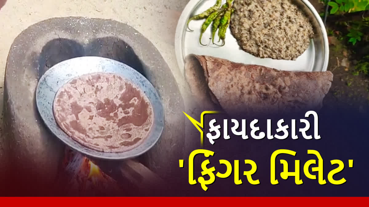 ફાયદાકારી 'ફિંગર મિલેટ'