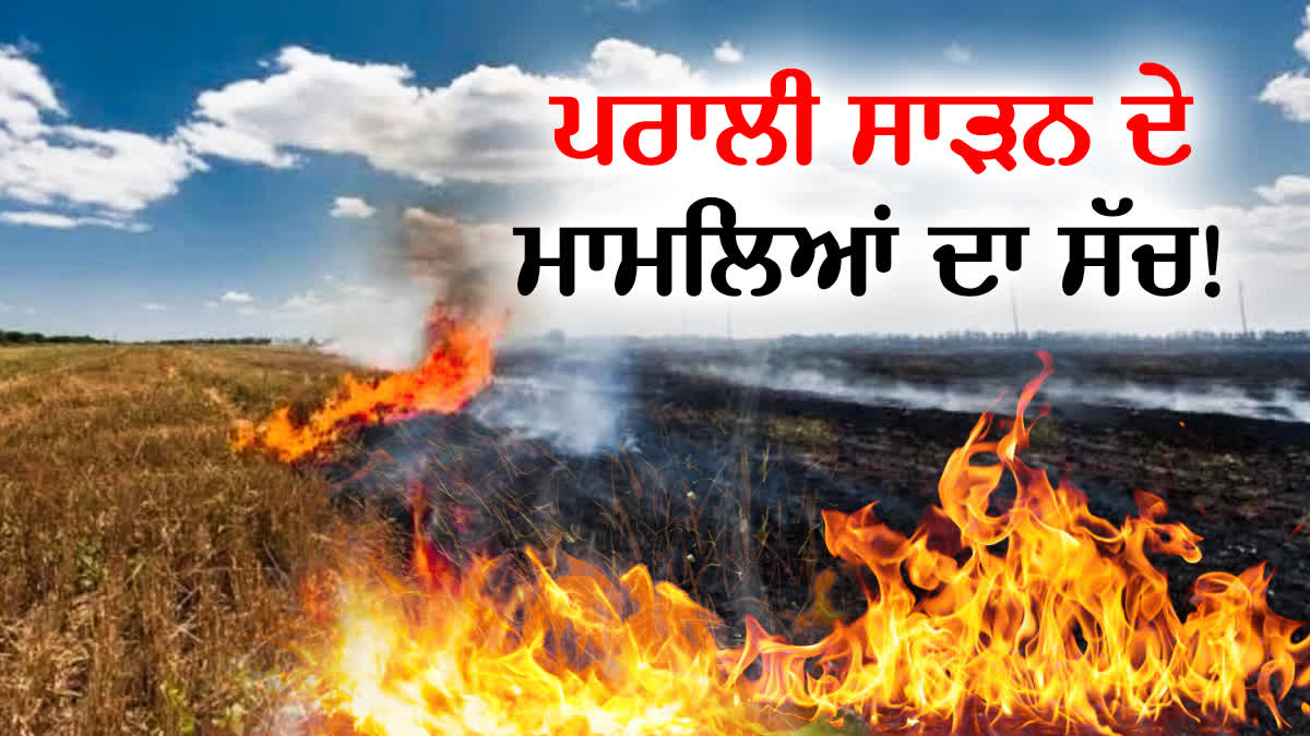 LUDHIANA STUBBLE BURNING CASES