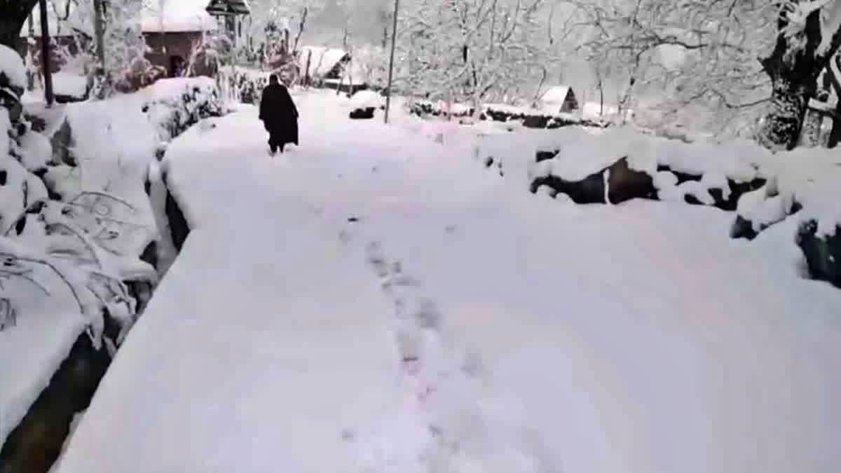 JAMMU KASHMIR FREEZES  JAMMU KASHMIR TEMPERATURE  JAMMU KASHMIR TOURISM  JAMMU KASHMIR CLIMATE