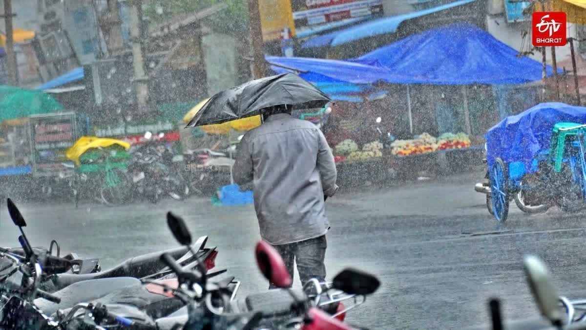 RAIN IN TAMIL NADU  TANIL NADU RAIN ALERTS  TAMIL NADU RAINFALL  തമിഴ്‌നാട് മഴ