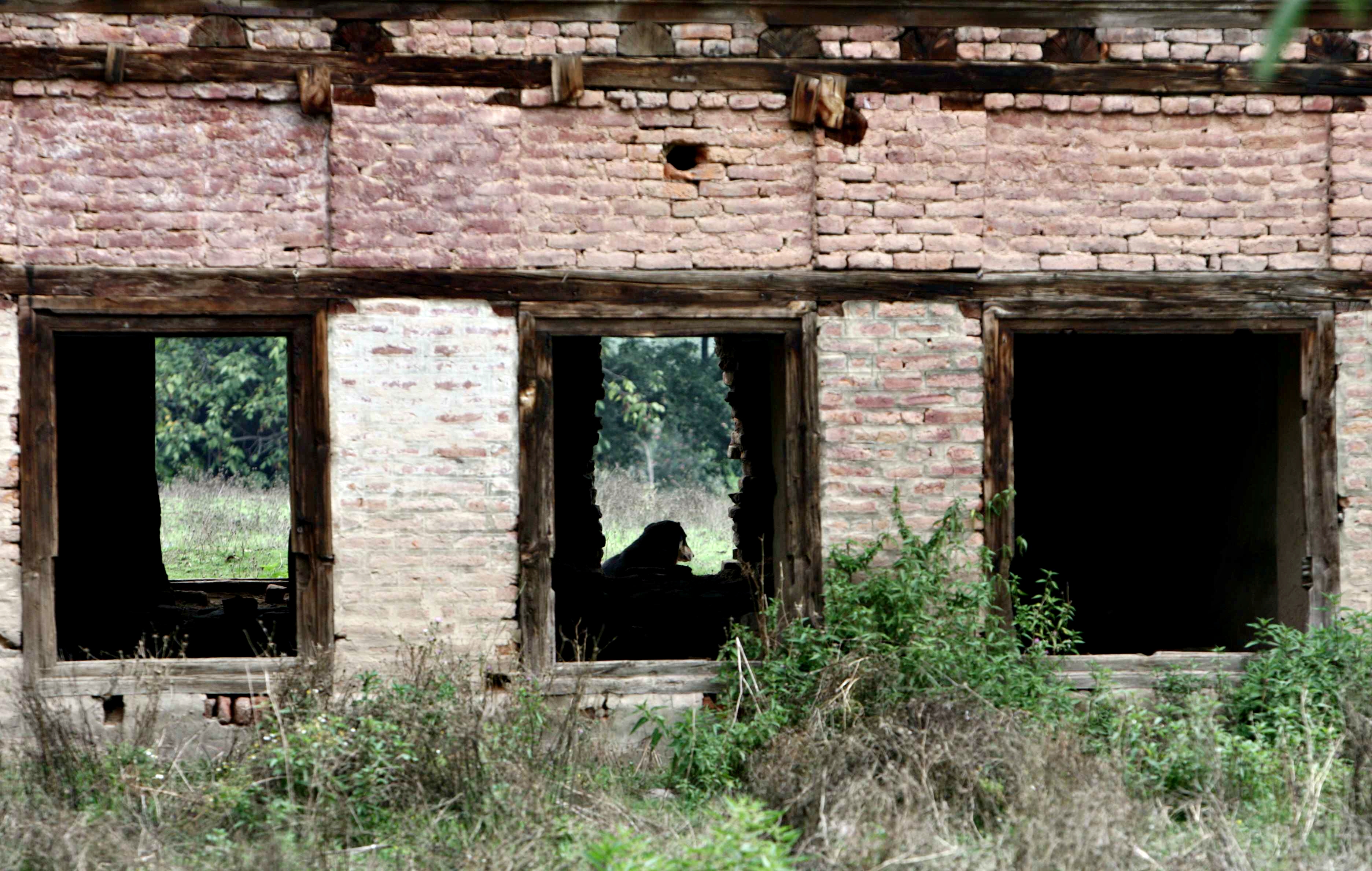 Kashmiri Family once lived here