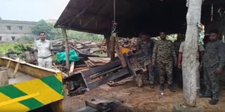 RAID IN ILLEGAL SAW MILL ASTARANGA