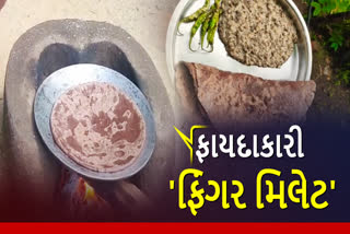 ફાયદાકારી 'ફિંગર મિલેટ'