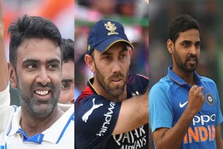 Homecoming of IPL Stars