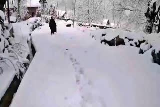 JAMMU KASHMIR FREEZES  JAMMU KASHMIR TEMPERATURE  JAMMU KASHMIR TOURISM  JAMMU KASHMIR CLIMATE