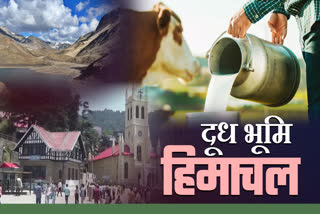 हिमाचल में मिल्क प्रोडक्शन