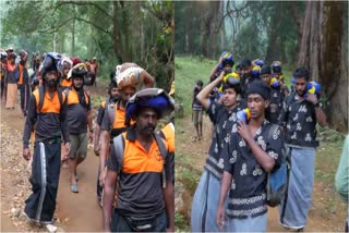 SABARIMALA  ശബരിമല വാർത്തകൾ  കാനന പാത  FOREST DEPARTMENT