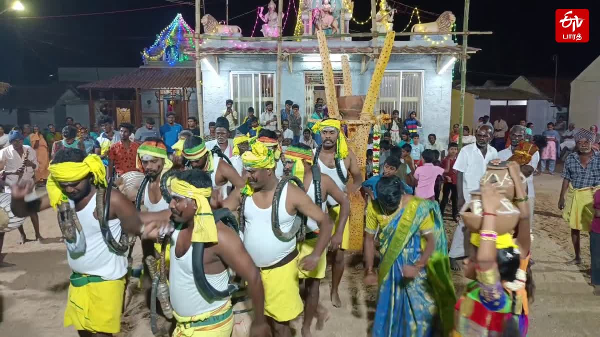 அழிந்துவரும் பனை மரங்களை காக்க நடவடிக்கை