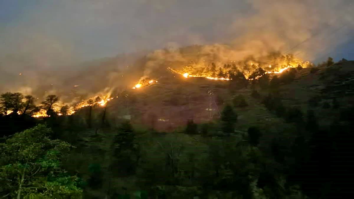 Kullu Forest Fire