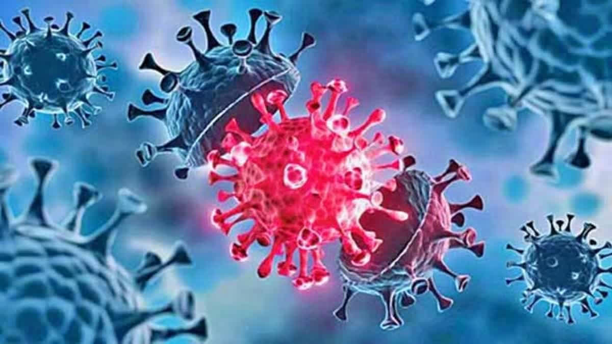 Two Coronavirus deaths have been reported in Telangana. A patient, who was admitted to the Osmania General Hospital in Hyderabad with respiratory issues, succumbed to the illness. During a medical examination conducted by doctors on two individuals, who had health complications, Coronavirus was diagnosed, said the hospital's superintendent Nagendra.