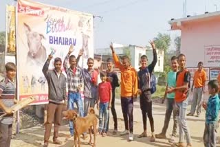 Burhanpur Dog birthday celebration