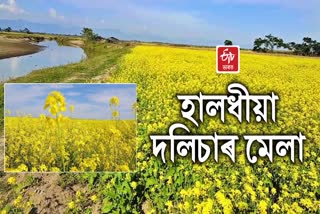 Financially self reliant by cultivating mustard in Dhemaji