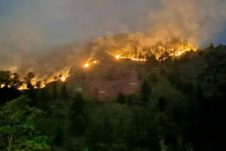 Kullu forest fire