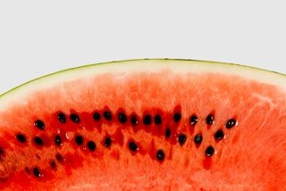 Watermelon Seeds News