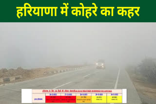 Red Alert of Fog in Haryana