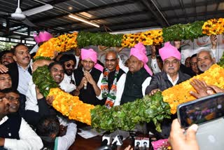 Congress Clan increases Nangal Chaudhary Haryana Assembly Election Mahendragarh Haryana News