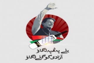 Pak court restores Imran Khan party's electoral symbol 'bat'