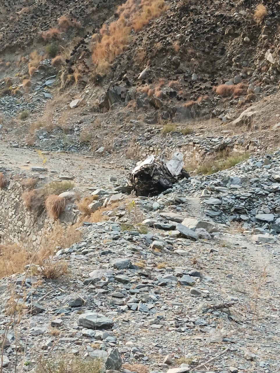 Car fell into ditch in Bharmour