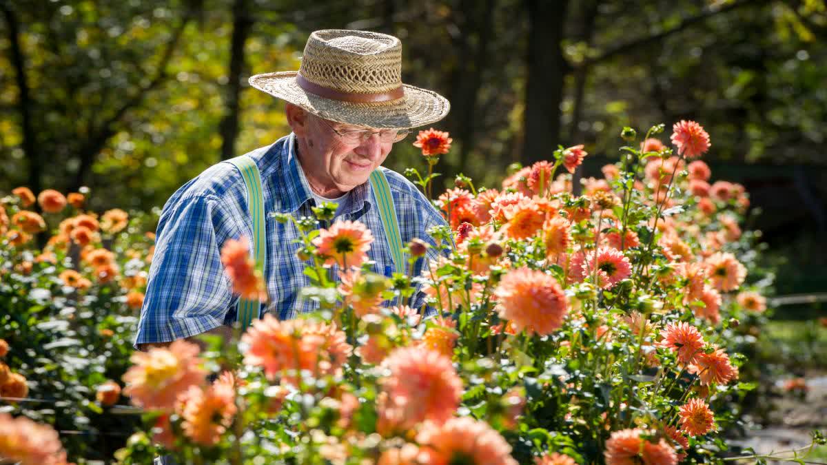 GARDENING HEALTH BENEFITS  പൂന്തോട്ട പരിപാലനം  മാനസിക സമ്മര്‍ദം കുറയ്‌ക്കാന്‍  Way To Decrease Depression