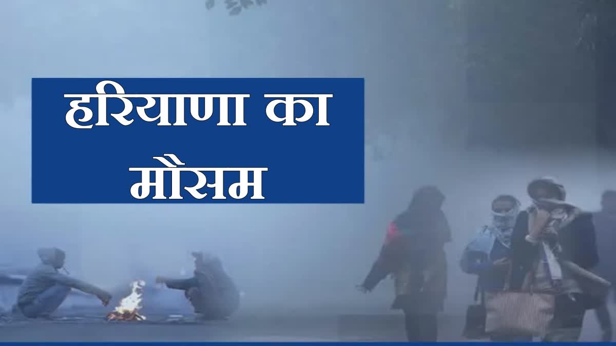 Haryana Weather Update