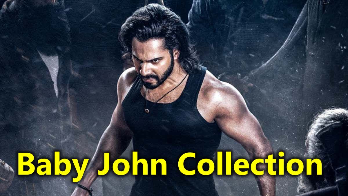 baby john box office collection day 1