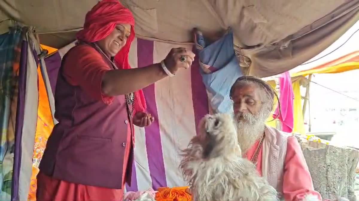 Pet Dog Soma Becomes Family For Naga Sadhus At Maha Kumbh In Uttar Pradesh's Prayagraj