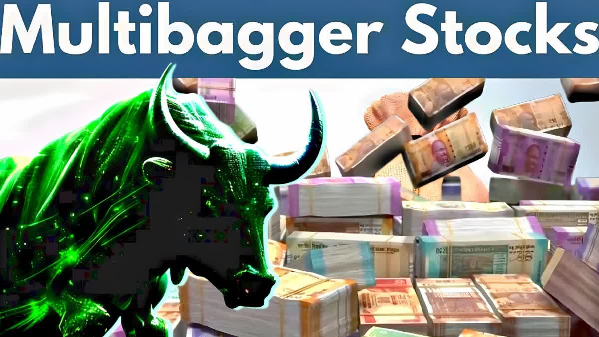 Multibagger Stock