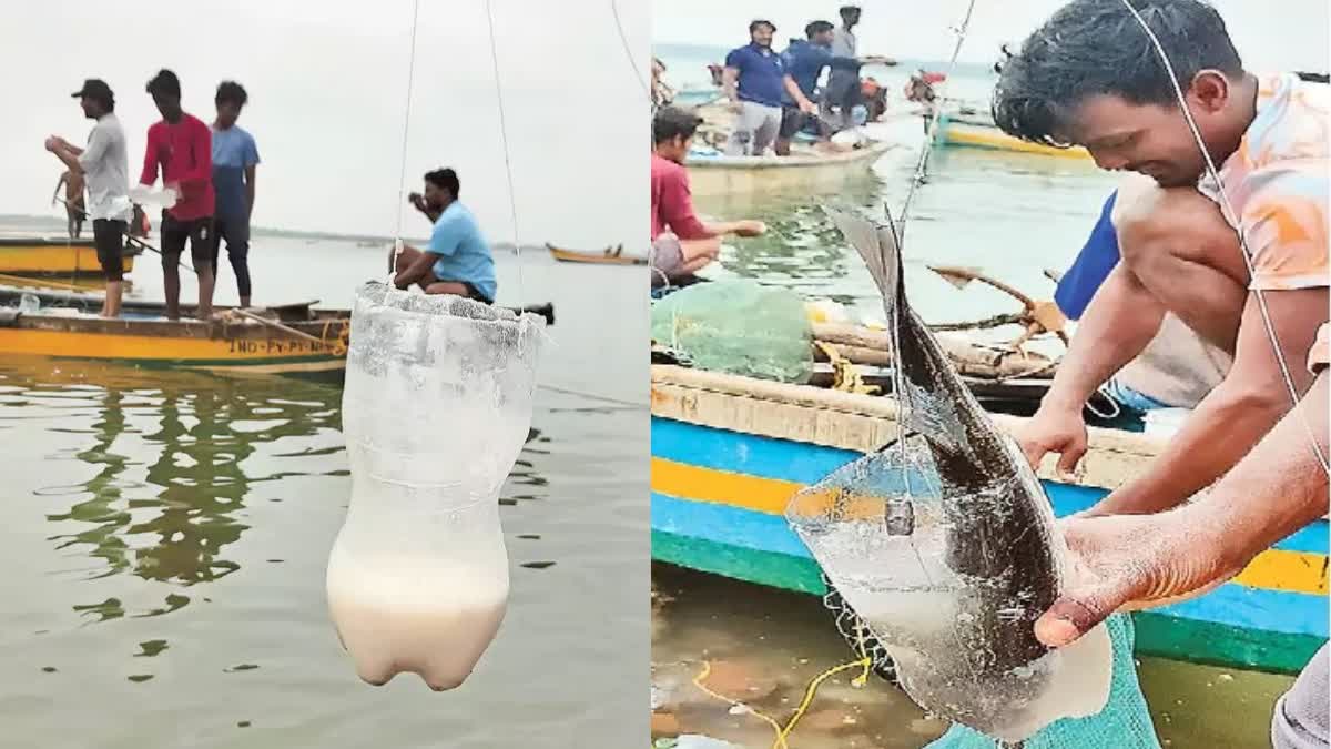 How To Make A fish Trap With Plastic Bottle