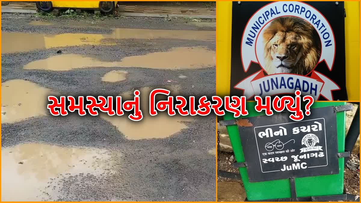 જુનાગઢની સમસ્યાઓની ઓનલાઈ ફરિયાદની હાલત