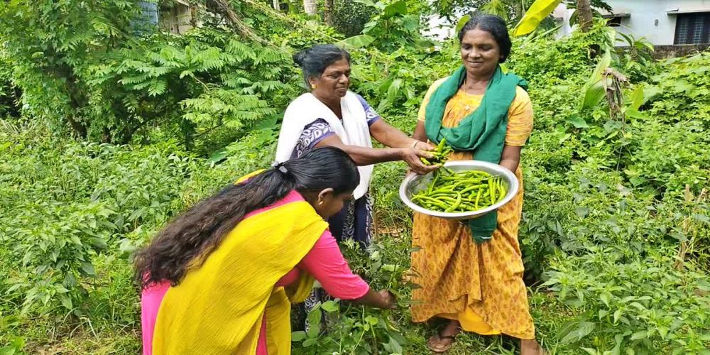 GARDENING HEALTH BENEFITS  പൂന്തോട്ട പരിപാലനം  മാനസിക സമ്മര്‍ദം കുറയ്‌ക്കാന്‍  Way To Decrease Depression