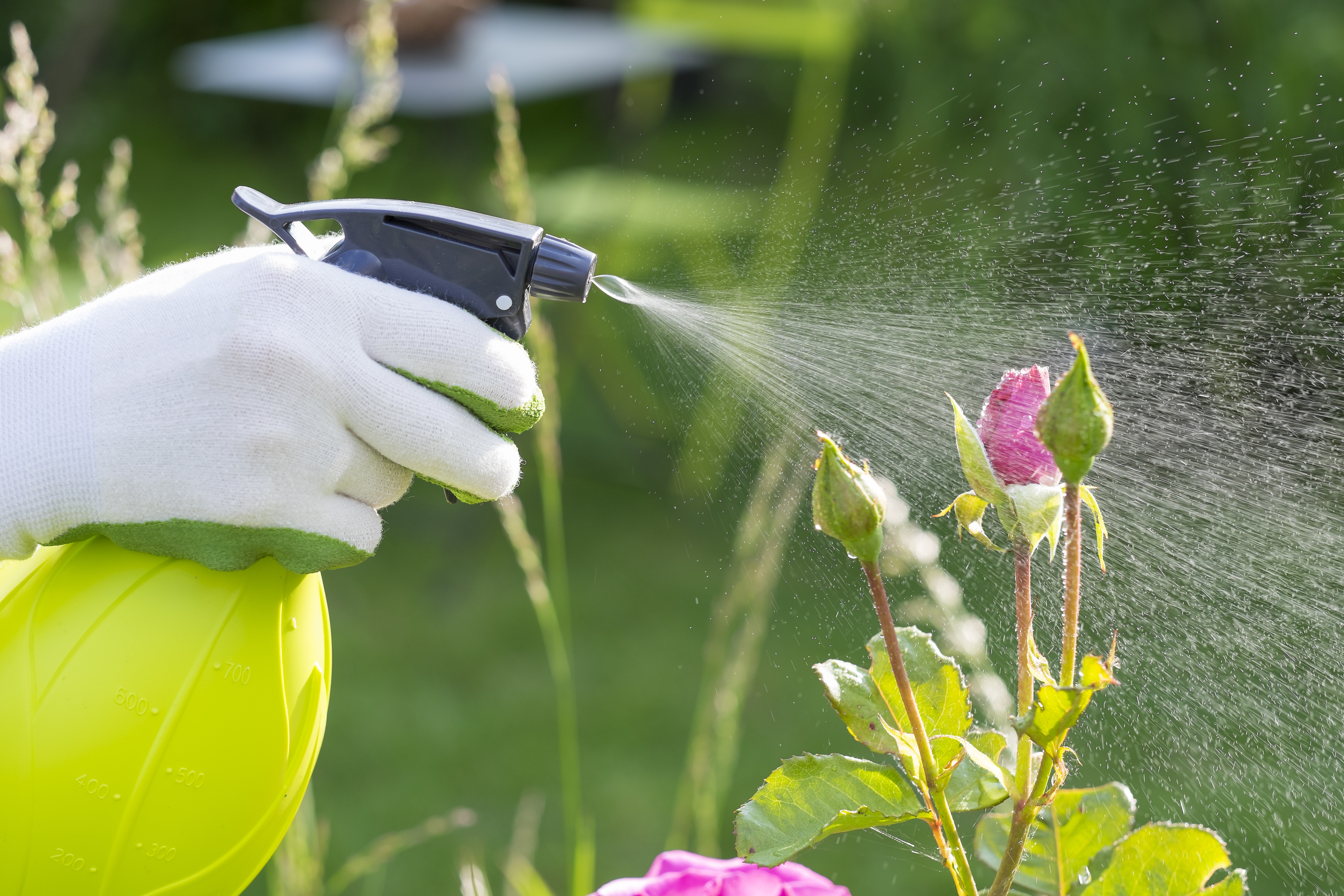 GARDENING HEALTH BENEFITS  പൂന്തോട്ട പരിപാലനം  മാനസിക സമ്മര്‍ദം കുറയ്‌ക്കാന്‍  Way To Decrease Depression