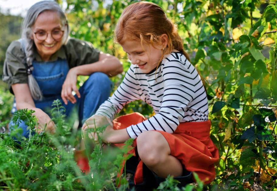 GARDENING HEALTH BENEFITS  പൂന്തോട്ട പരിപാലനം  മാനസിക സമ്മര്‍ദം കുറയ്‌ക്കാന്‍  Way To Decrease Depression