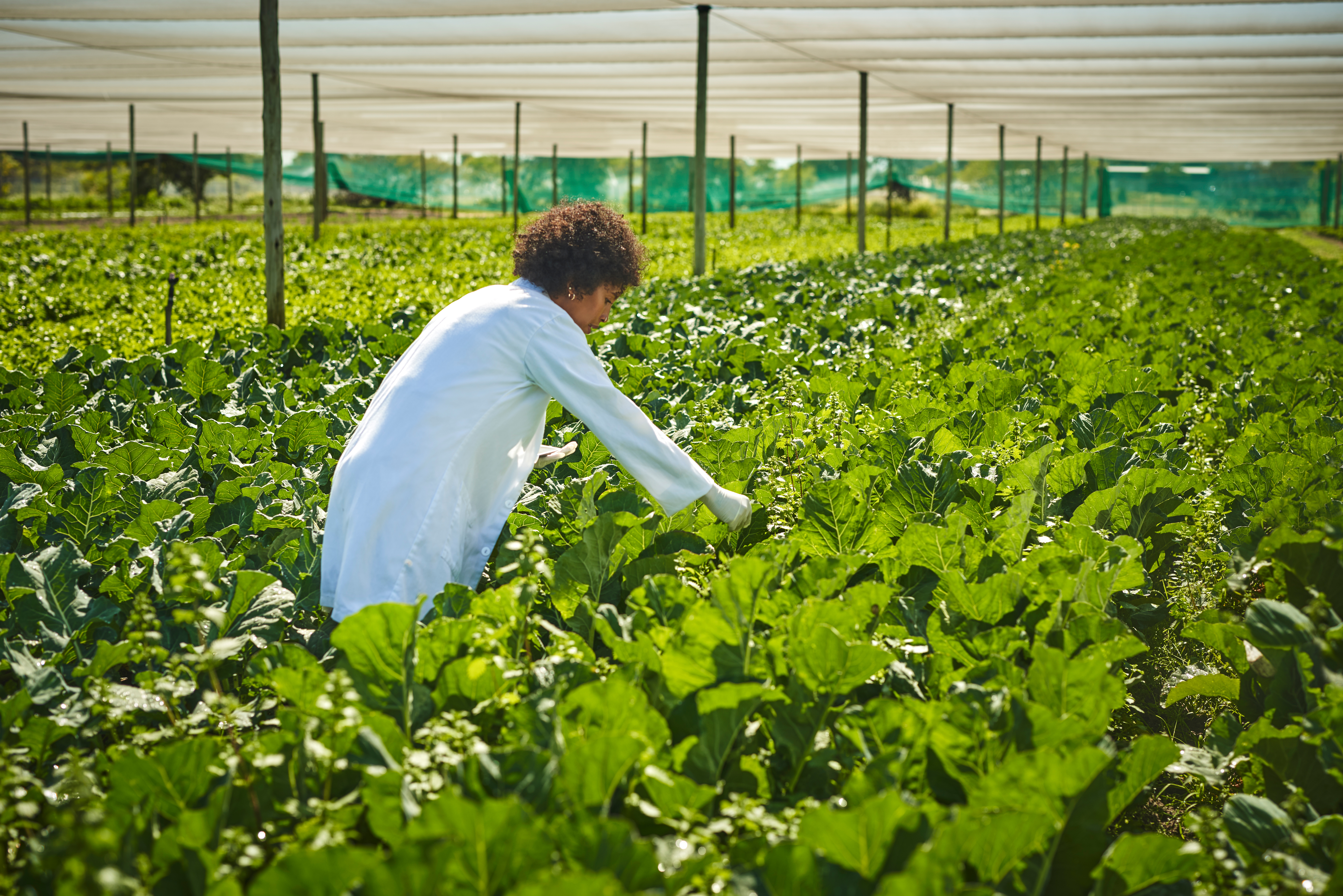 GARDENING HEALTH BENEFITS  പൂന്തോട്ട പരിപാലനം  മാനസിക സമ്മര്‍ദം കുറയ്‌ക്കാന്‍  Way To Decrease Depression