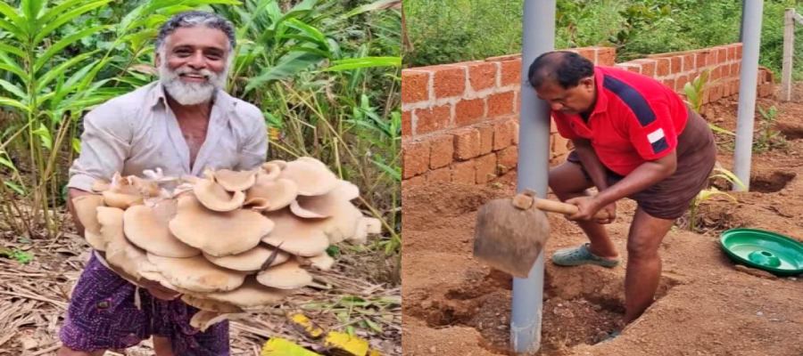 GARDENING HEALTH BENEFITS  പൂന്തോട്ട പരിപാലനം  മാനസിക സമ്മര്‍ദം കുറയ്‌ക്കാന്‍  Way To Decrease Depression