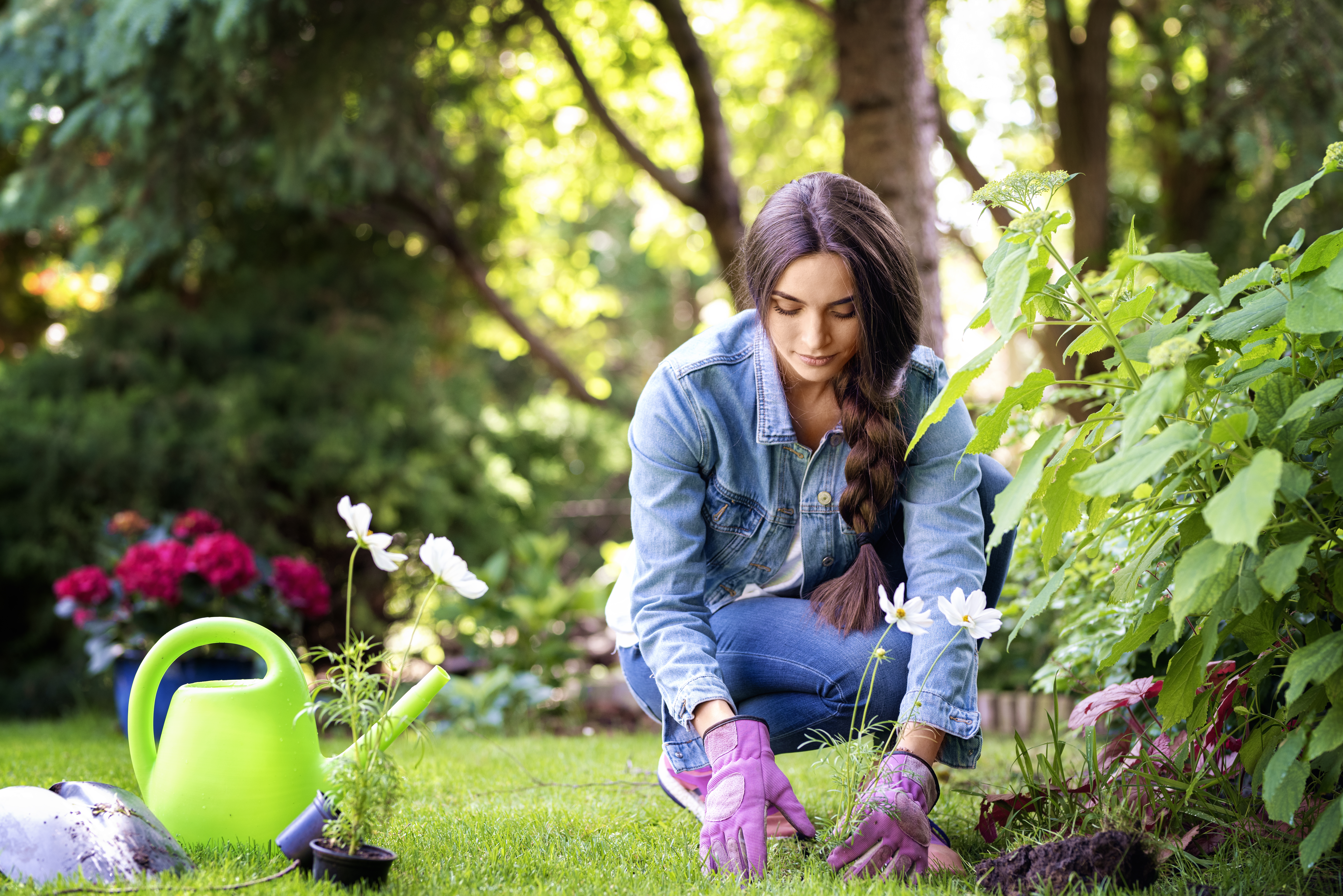 GARDENING HEALTH BENEFITS  പൂന്തോട്ട പരിപാലനം  മാനസിക സമ്മര്‍ദം കുറയ്‌ക്കാന്‍  Way To Decrease Depression