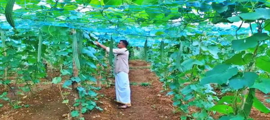 GARDENING HEALTH BENEFITS  പൂന്തോട്ട പരിപാലനം  മാനസിക സമ്മര്‍ദം കുറയ്‌ക്കാന്‍  Way To Decrease Depression