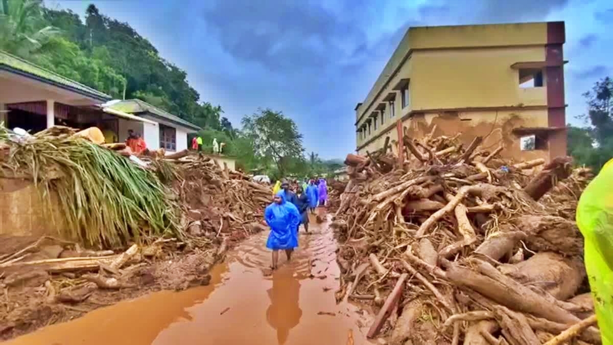 WAYANAD LANDSLIDE REHABILITATION  MUNDAKKAI CHOORALMALA LANDSLIDE  WAYANAD LANDSLIDE YEARENDER 2024  WHAT GOVT DID IN WAYANAD