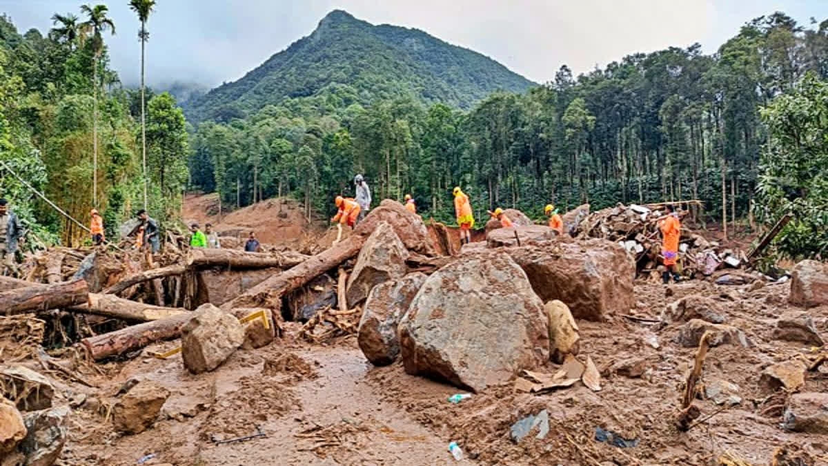 WAYANAD LANDSLIDE REHABILITATION  MUNDAKKAI CHOORALMALA LANDSLIDE  WAYANAD LANDSLIDE YEARENDER 2024  WHAT GOVT DID IN WAYANAD