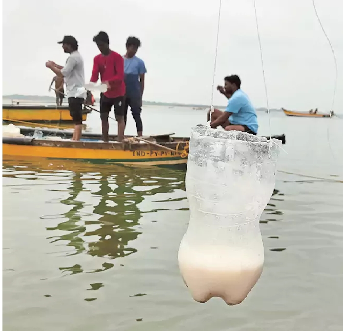 How To Make A fish Trap With Plastic Bottle