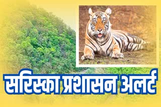 SARISKA ADMINISTRATION ALERT